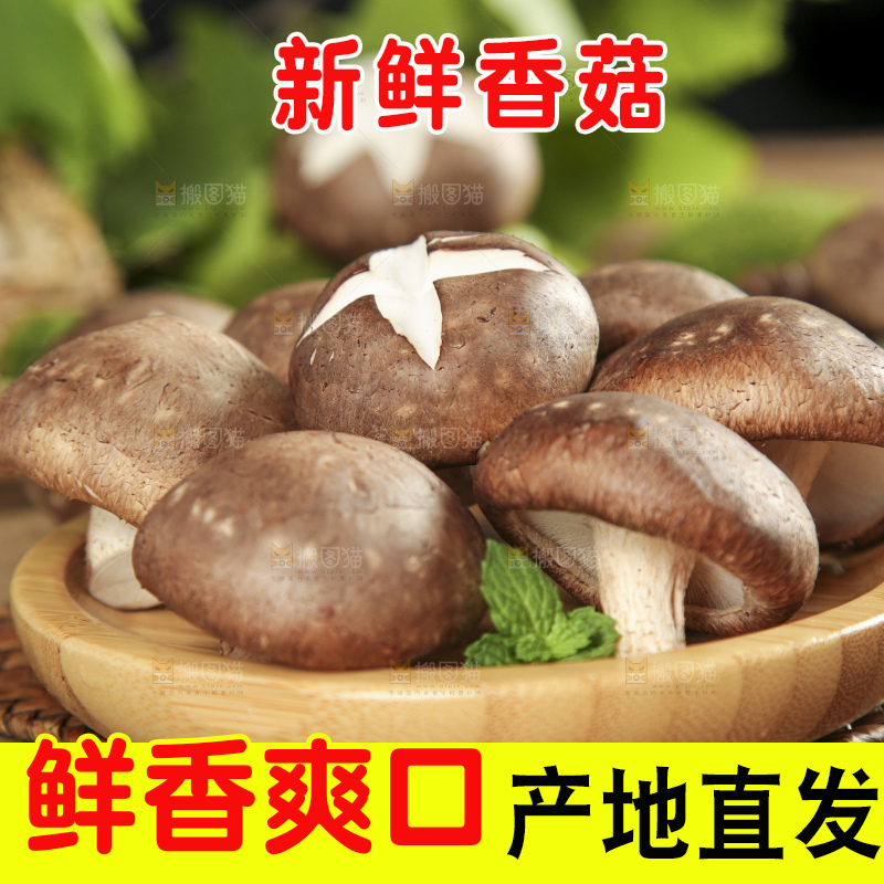 碟子里放着新鲜香菇