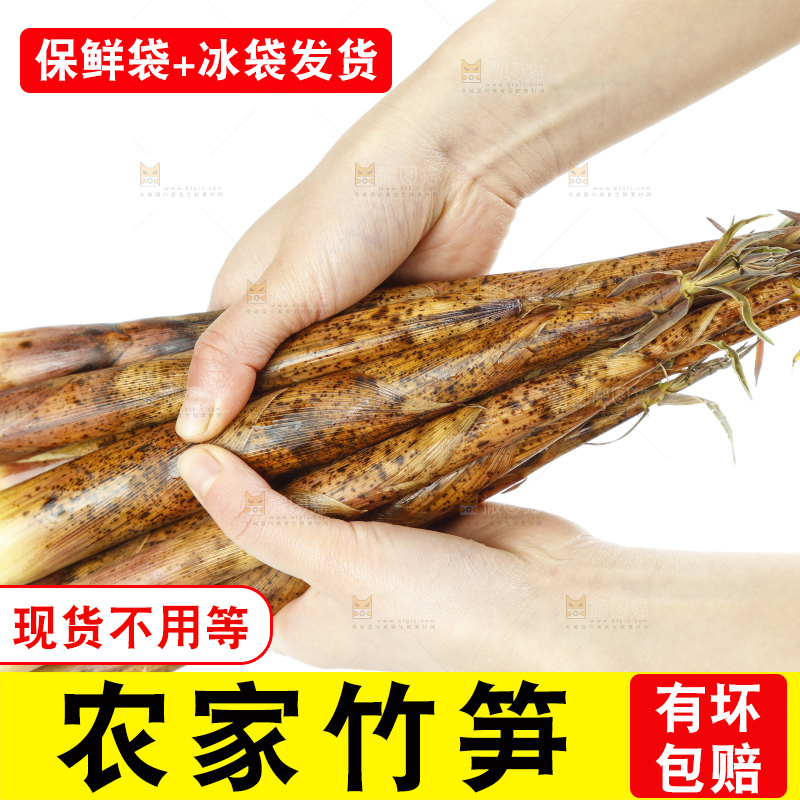 双手捧着竹笋