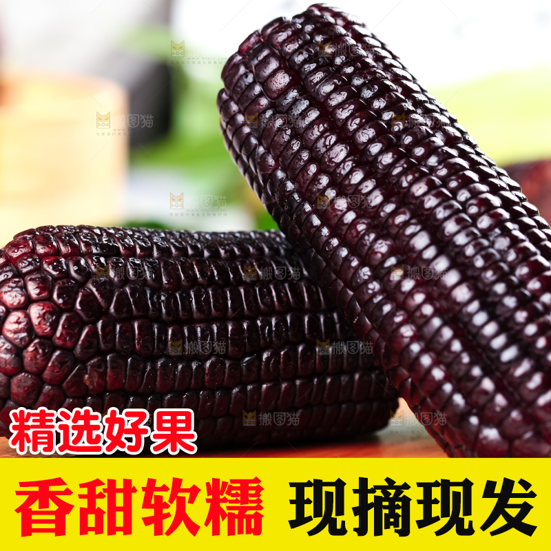 木底上放着山西黑玉米