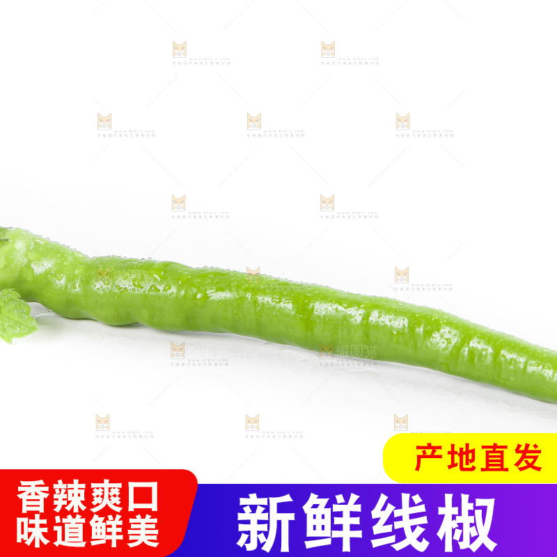 白底上的二荆条辣椒