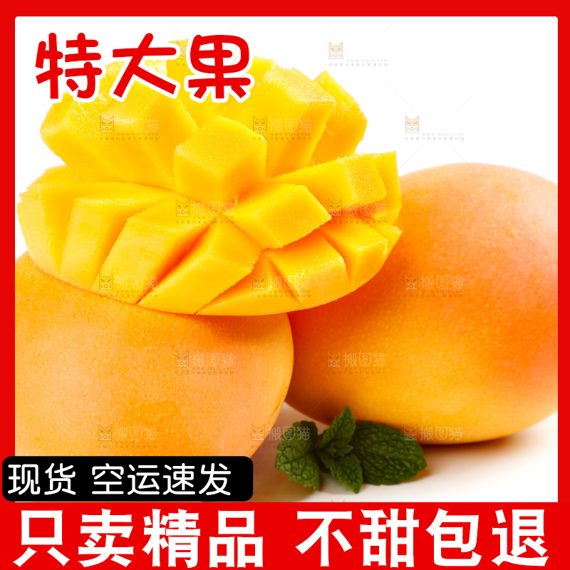白底上放着越南进口澳芒