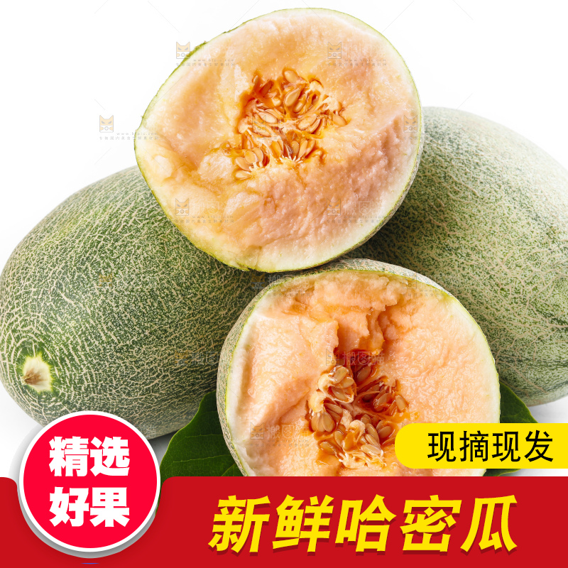 白底上放着新疆哈密瓜