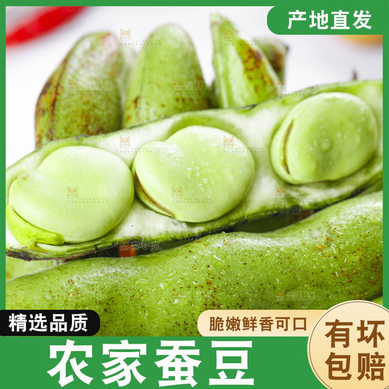 白底上摆放着农家蚕豆