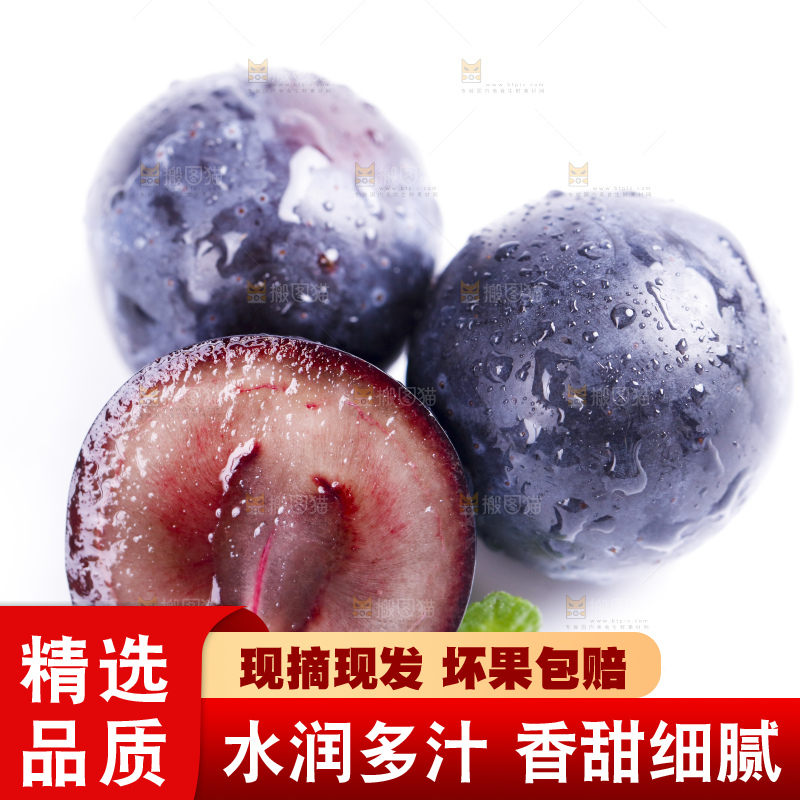 白底上放着夏黑加仑葡萄