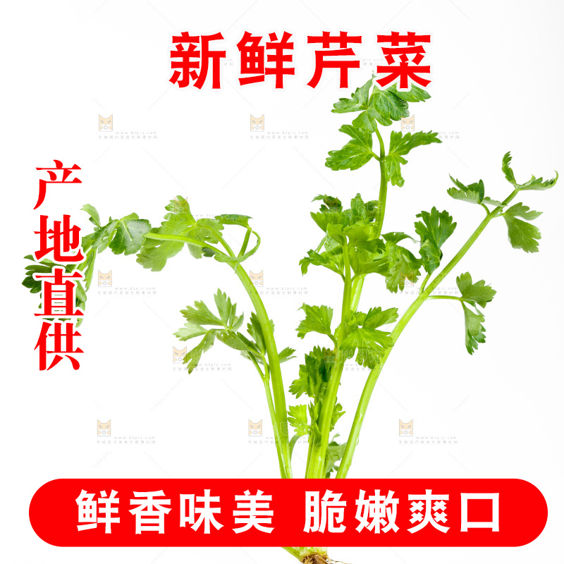 白底上放着芹菜