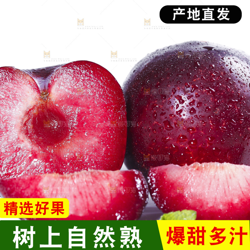 白底上摆放着恐龙蛋李