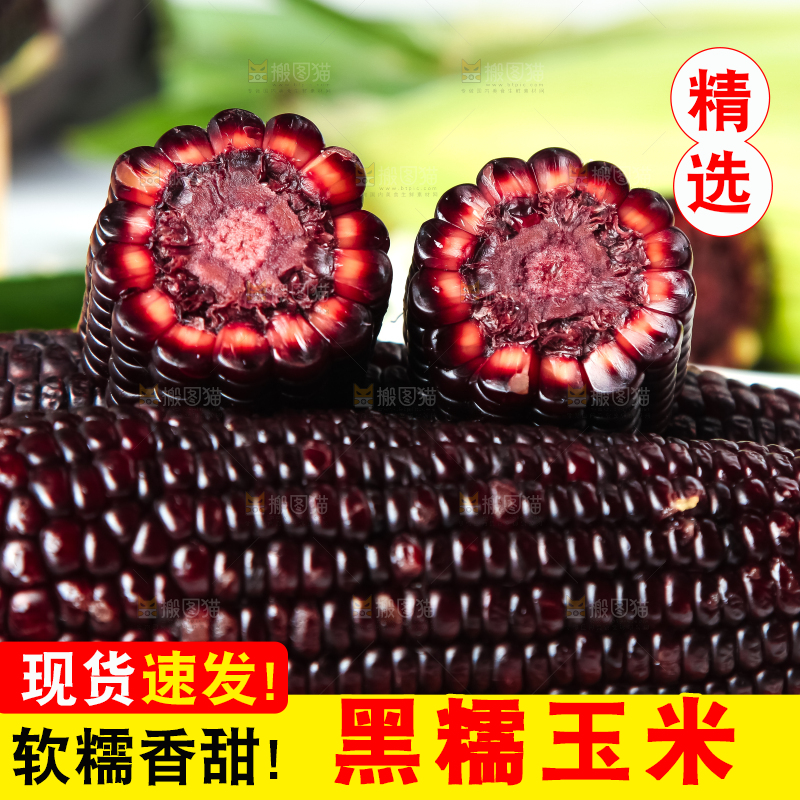 木底上放着东北黑玉米