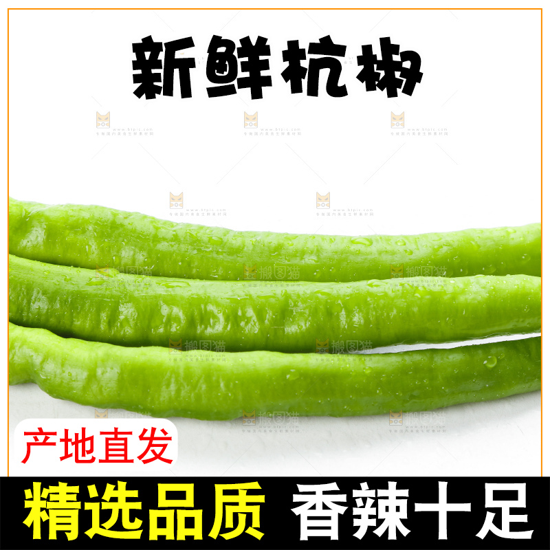 白底上摆放着青尖椒