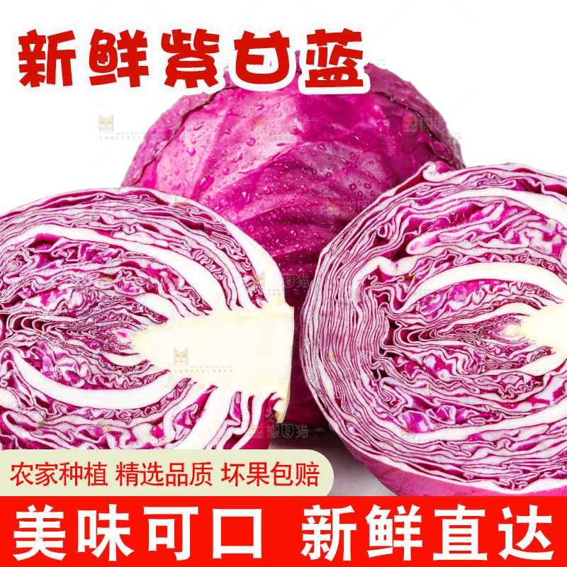 白底上的紫甘蓝