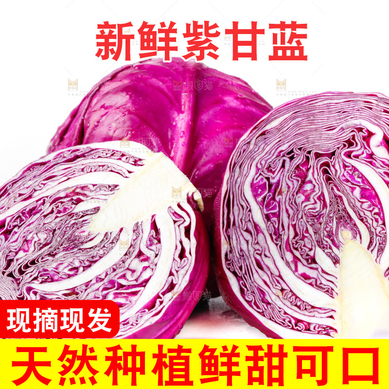 白底上的紫甘蓝