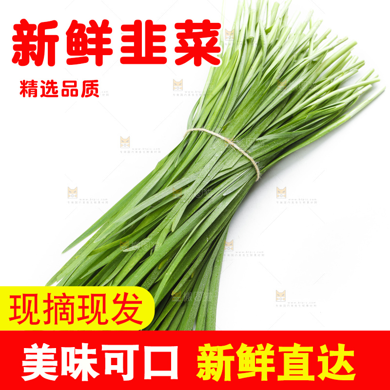 白底上放着一把嫩韭菜