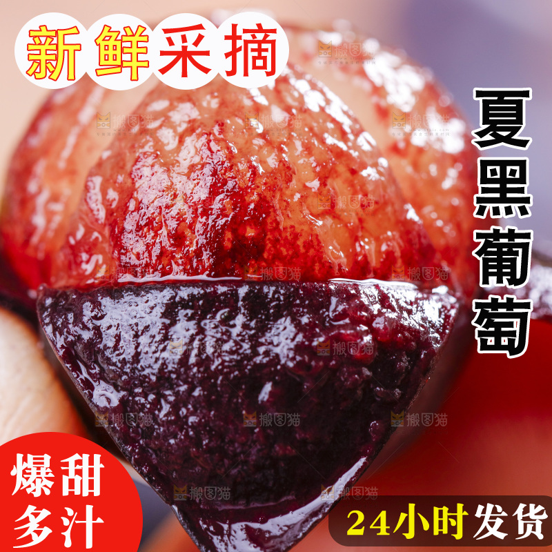 手里拿着夏黑葡萄
