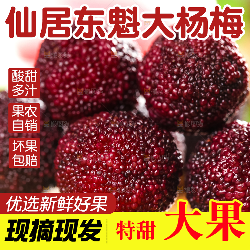 木底上放着仙居杨梅