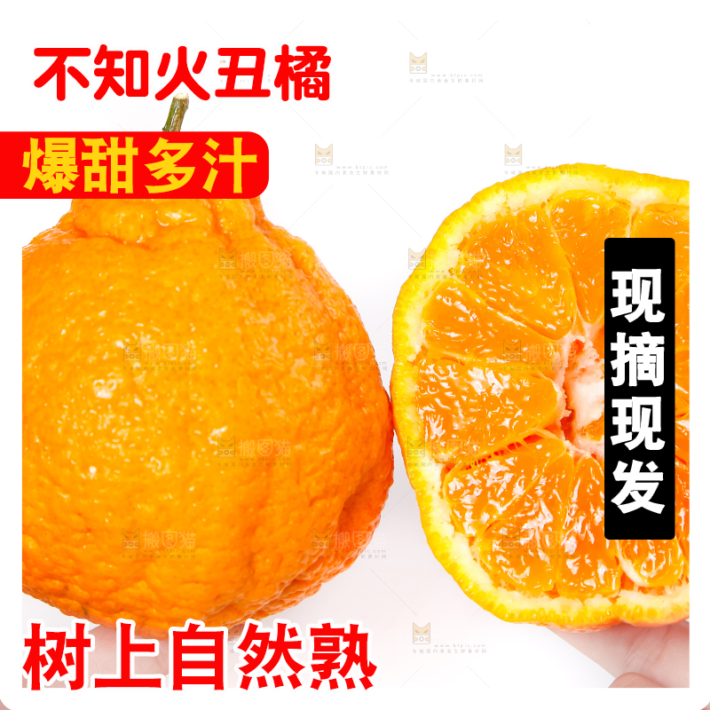 手里拿着不知火柑橘