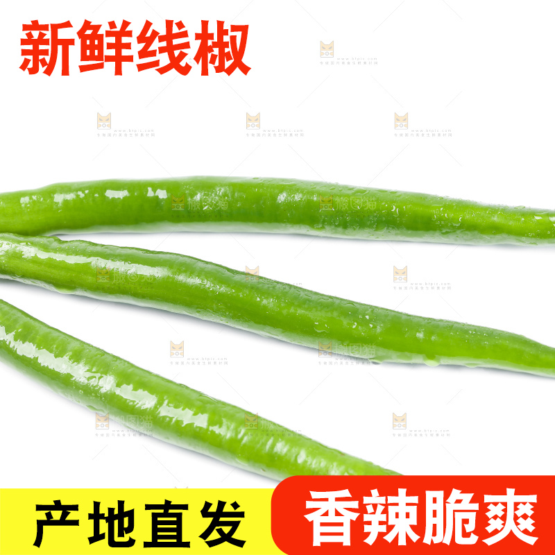 白底上放着线椒