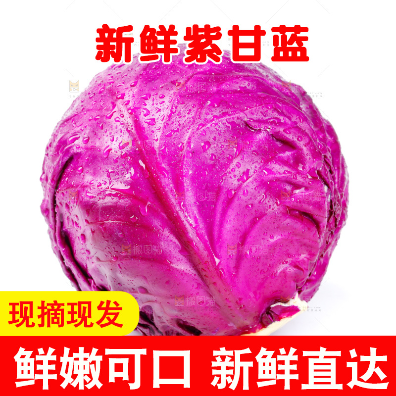 白底上放着新鲜紫甘蓝