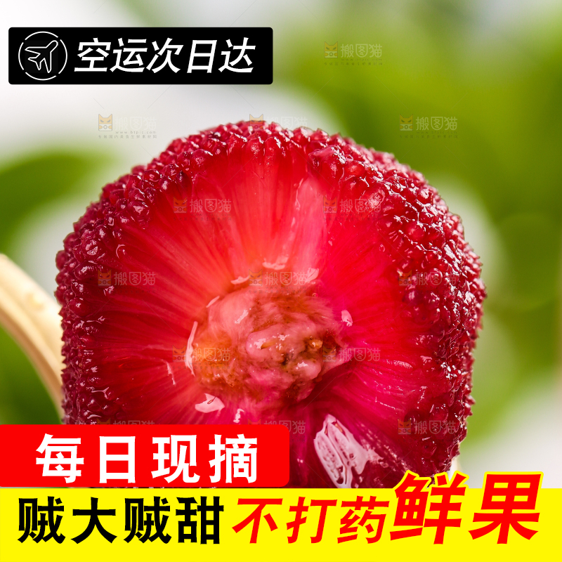 勺子上的杨梅果肉