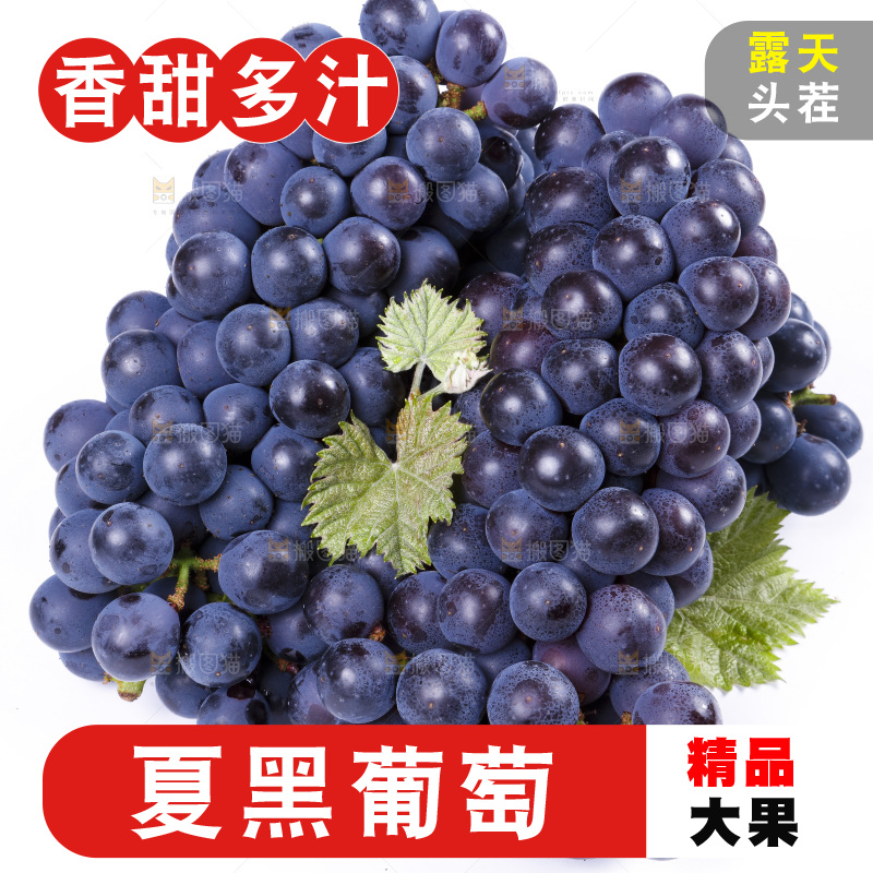 白底上摆放着巨峰葡萄