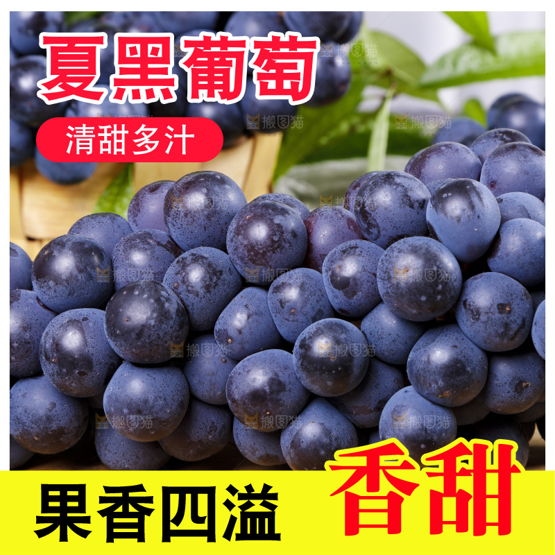 木底上摆放着夏黑无籽葡萄