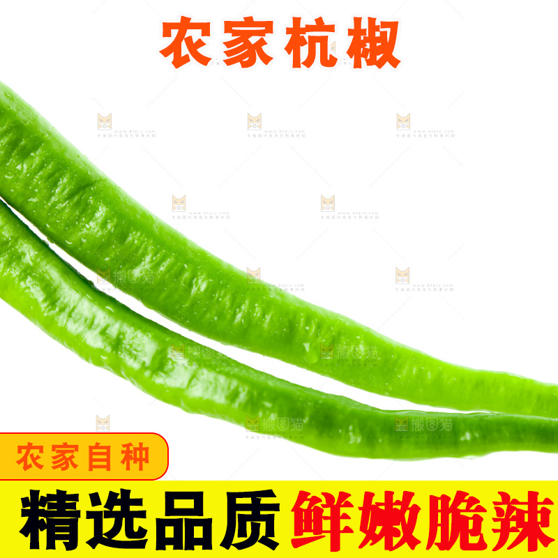 手里拿着青辣椒