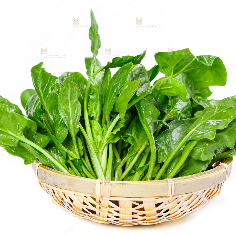 篮子里放着农家菠菜