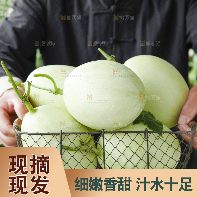 手里拿着一篮玉菇甜瓜