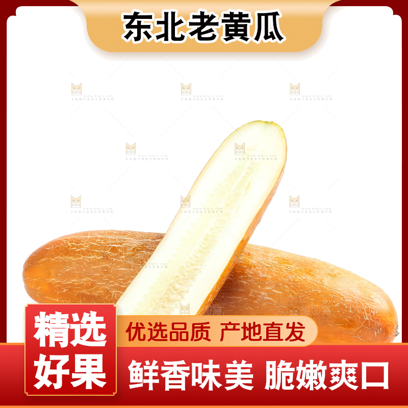 白底上的新鲜老黄瓜