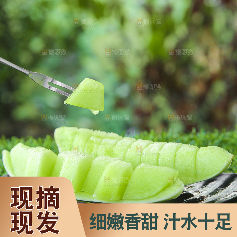 绿草地上放着一玉菇甜瓜