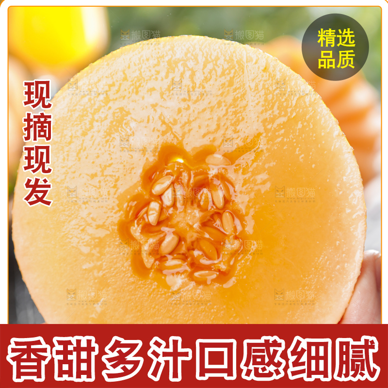 手里拿着黄皮哈密瓜