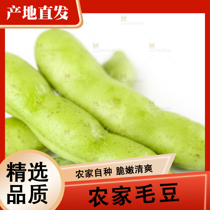 白底上摆放着毛豆角