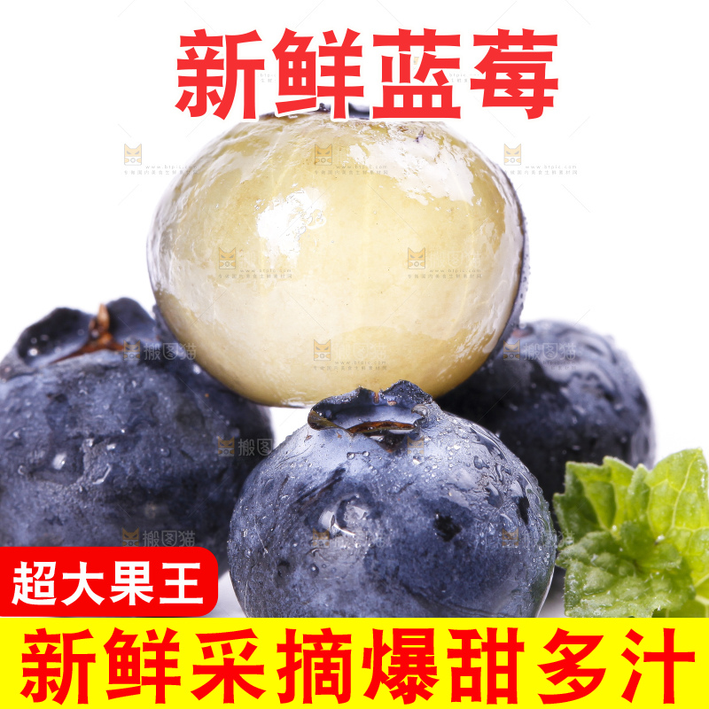 白底上摆放着蓝莓
