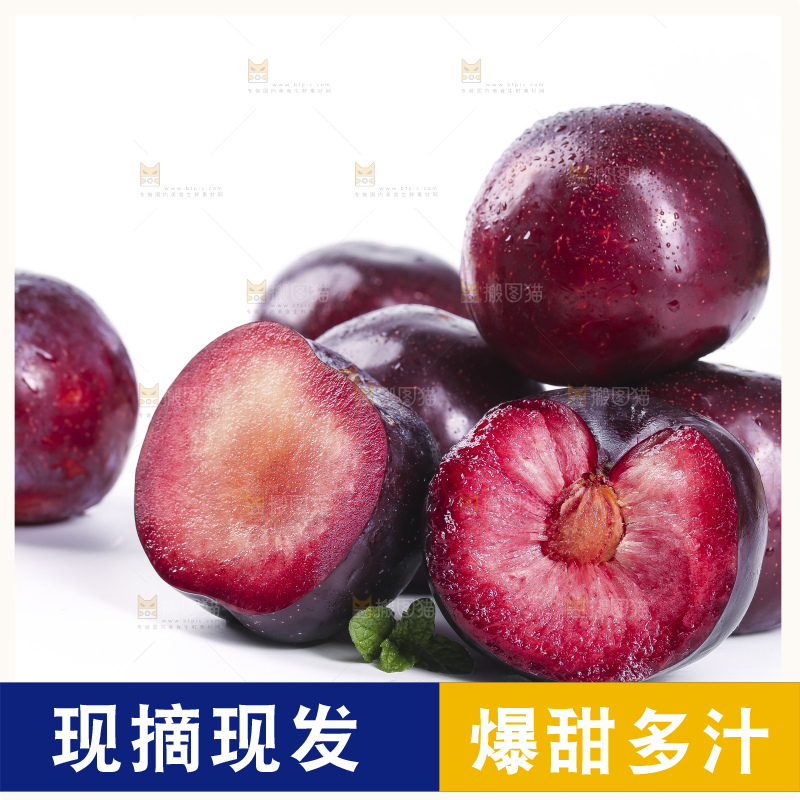 白底上摆放着恐龙蛋