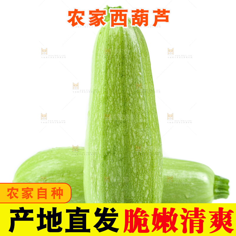 白底上摆放着茭瓜