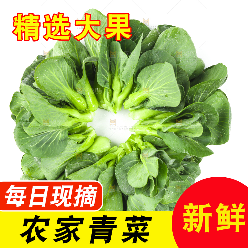 白底上放着青菜