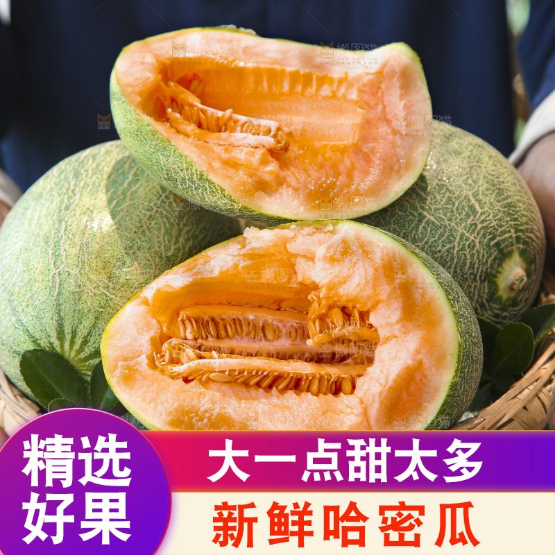 手里端着一篮网纹瓜