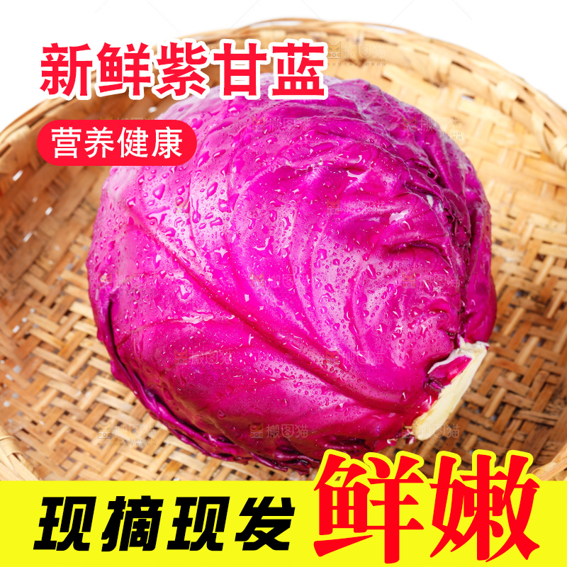 篮子里的紫甘蓝