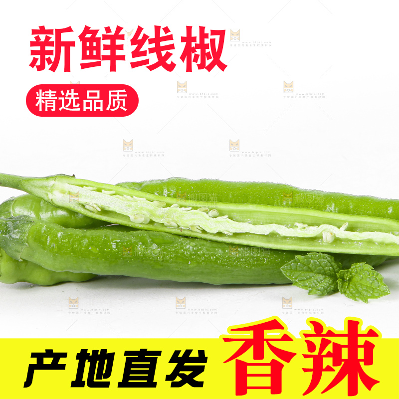 白底上的二荆条辣椒