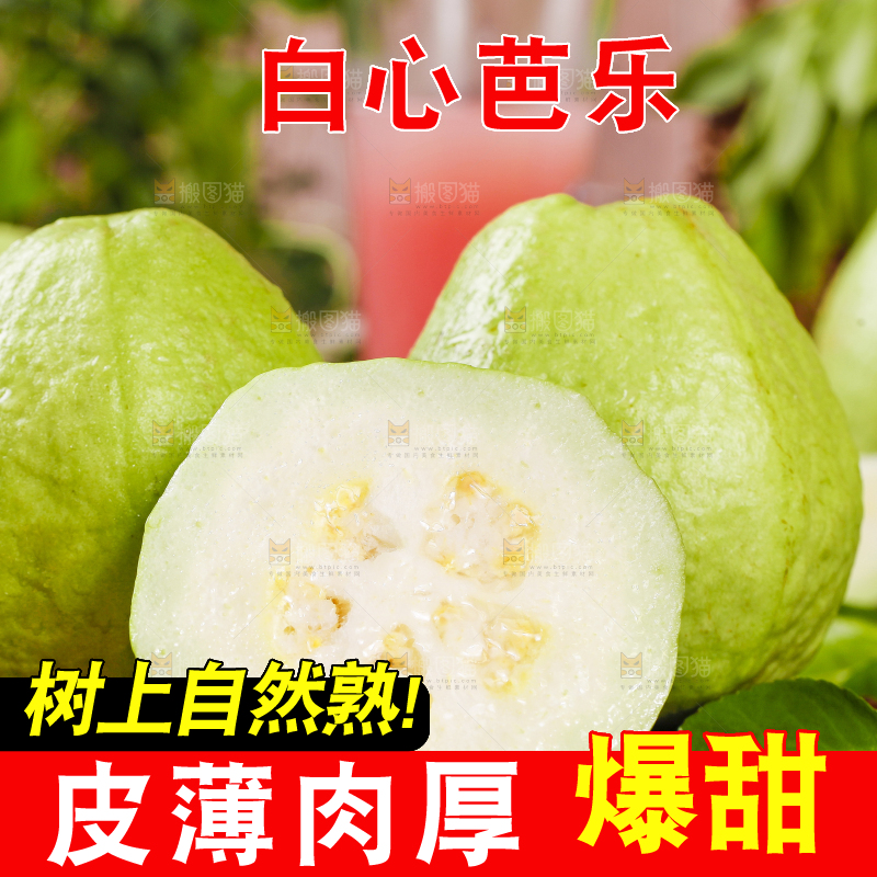 竹底上的白心番石榴