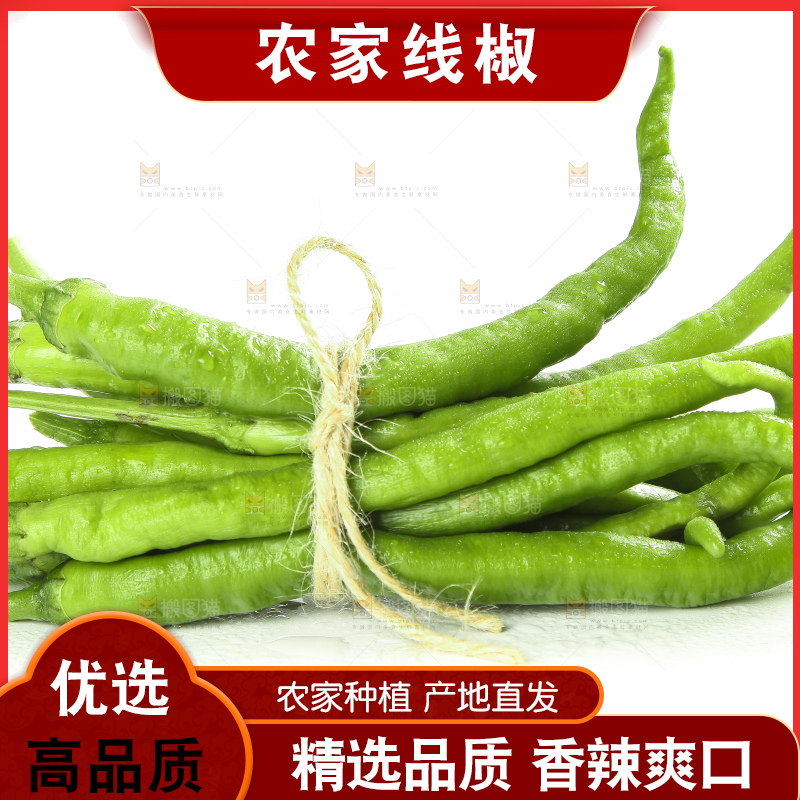 白底上的新鲜青辣椒