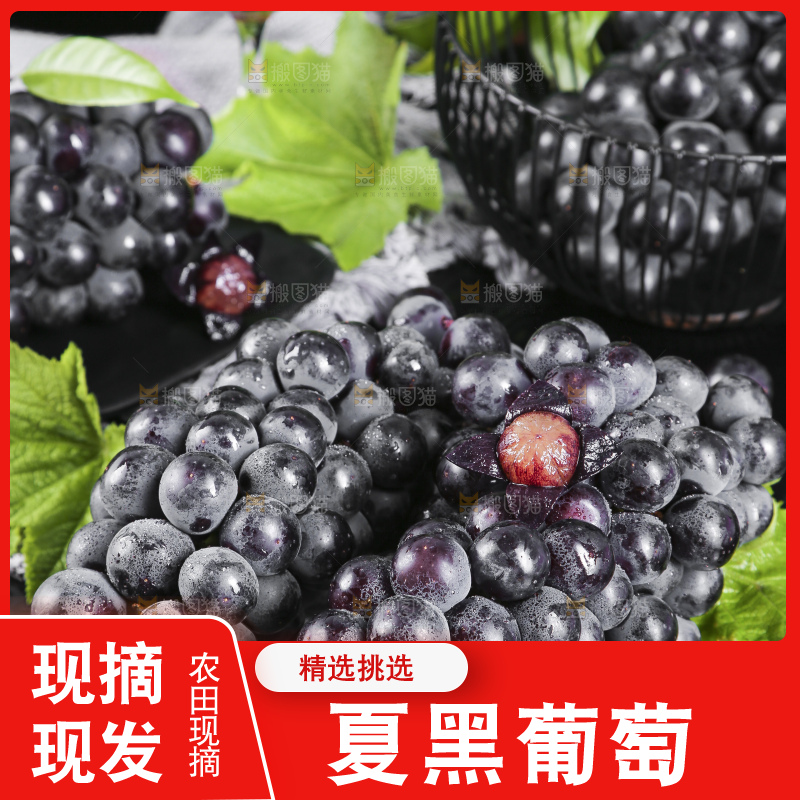 盘子里装着夏黑