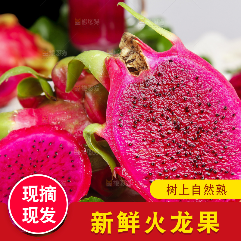 木底上摆放着红心火龙果