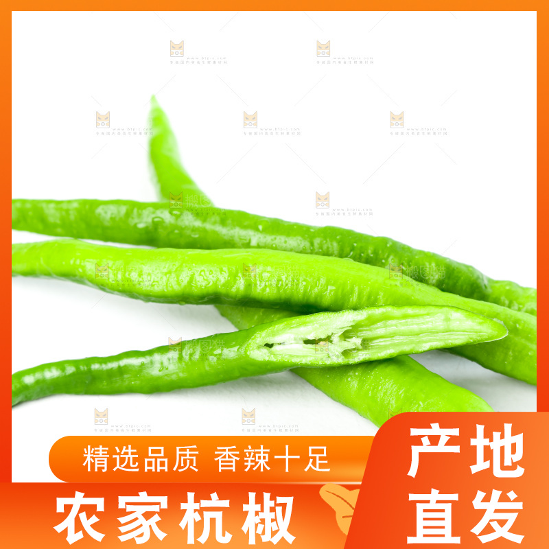 白底上放着青杭椒