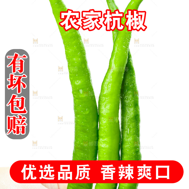 手里拿着青辣椒