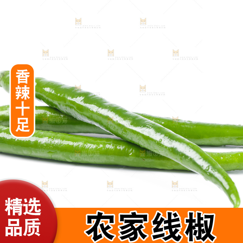 白底上放着线椒