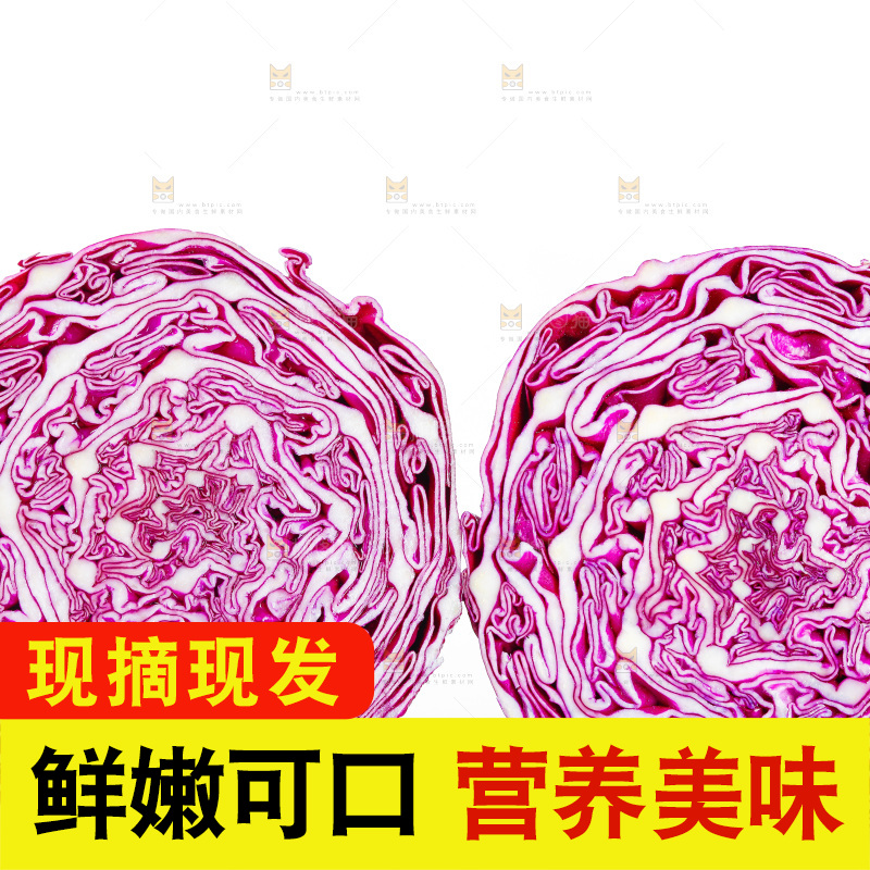 白底上放着甘蓝