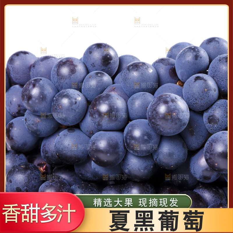 堆放着一堆的夏黑无籽葡萄