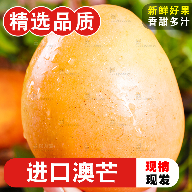 手里拿着新鲜澳芒