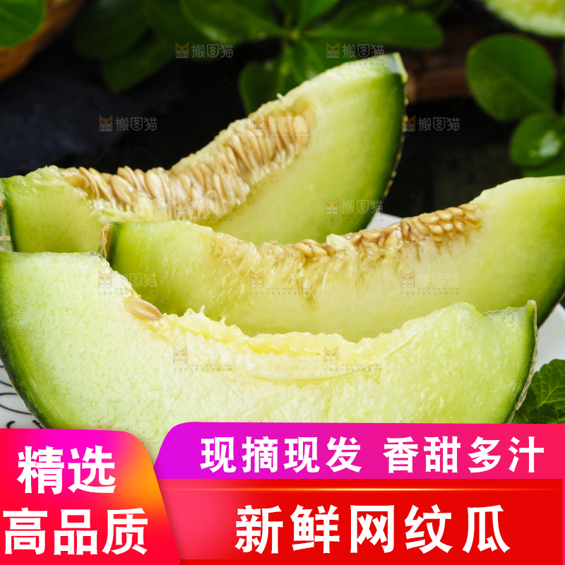深底上放着切开的山东网纹蜜瓜