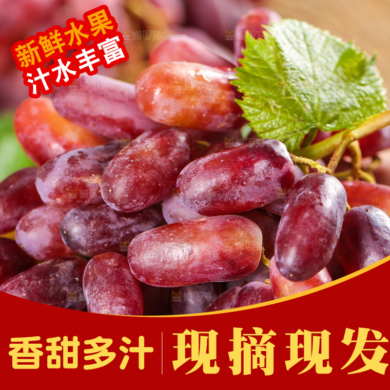 双手捧着美人指葡萄