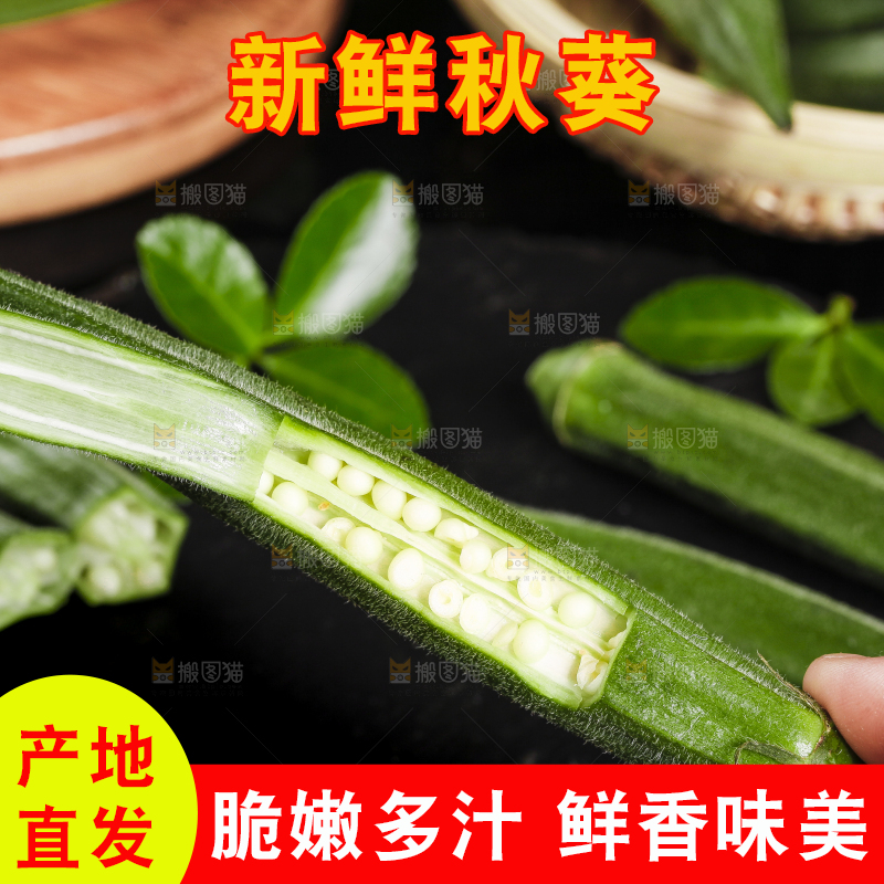 手里拿着秋葵